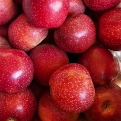 ekologiskt qinguan äpple